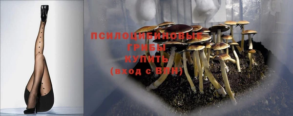2c-b Баксан