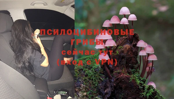 2c-b Балахна